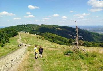 Z NATURĄ NA TY