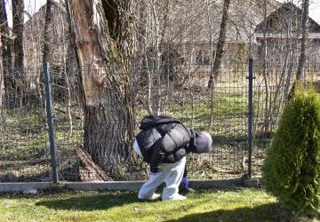 SPRZĄTANIE ŚWIATA Z OKAZJI MIĘDZYNARODOWEGO DNIA ZIEMI – WYCHOWANKOWIE CKIW OHP W AKCJI