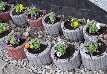 WIOSENNE PORZĄDKI I SADZENIE KWIATÓW WOKÓŁ INTERNATU