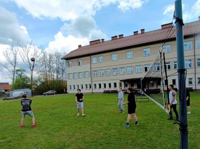 sietkówka5.jpg