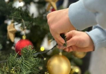 UBIERAMY ŚWIĄTECZNE CHOINKI