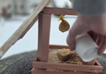 LEŚNI PRZYJACIELE W ZIMOWEJ POTRZEBIE