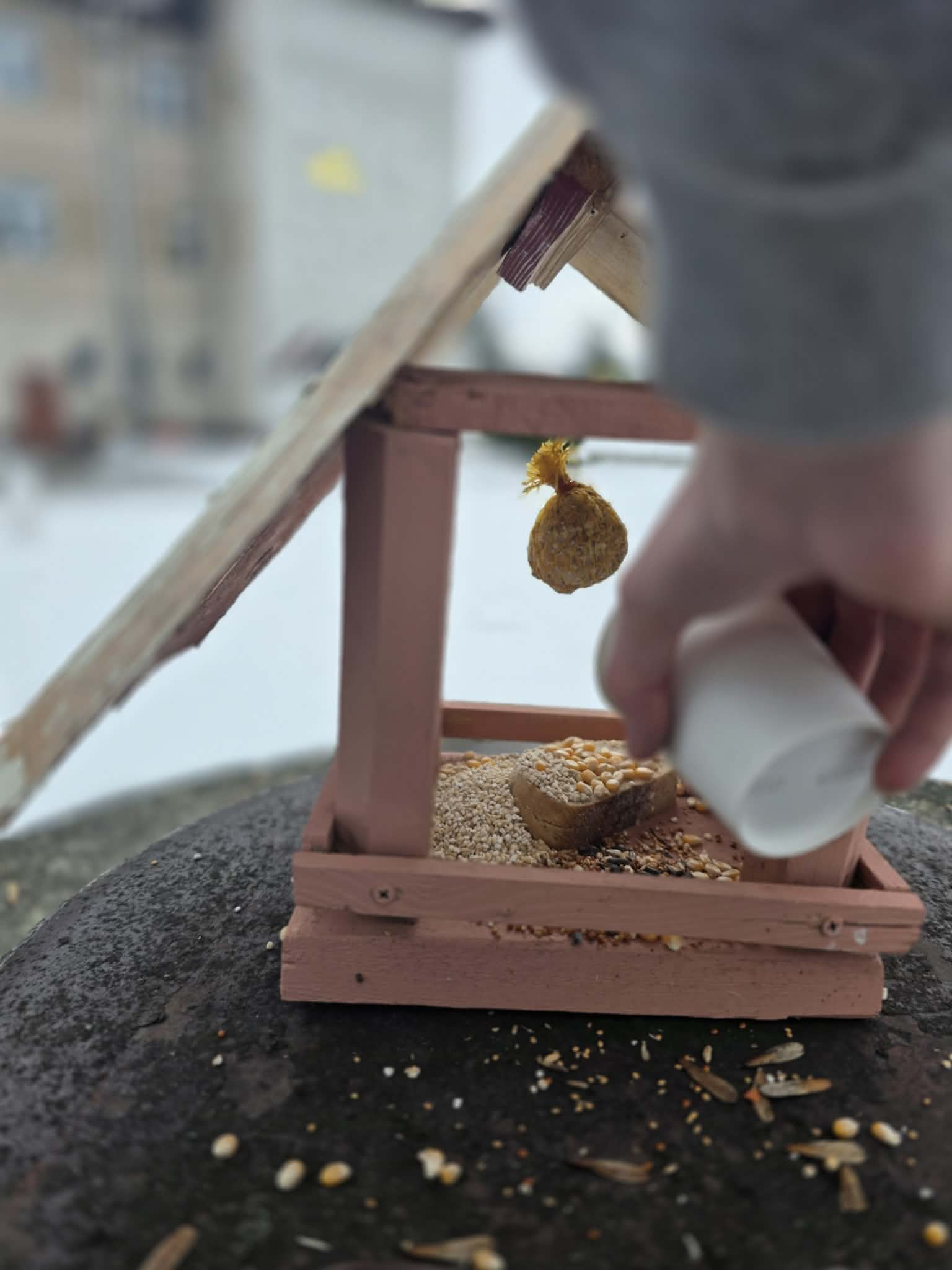 LEŚNI PRZYJACIELE W ZIMOWEJ POTRZEBIE