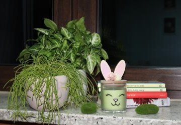 🌱🍅 SIEJEMY ZIELONĄ ENERGIĘ!