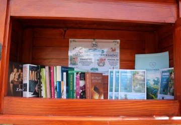 📚🌿 ZIELONY KĄCIK RELAKSU – KSIĄŻKA W DROGĘ! 🌿📚