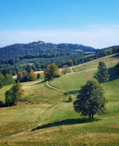 szlak na Wysoką.jpg