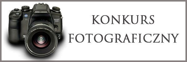 Konkurs fotograficzny dla absolwentów Centrum